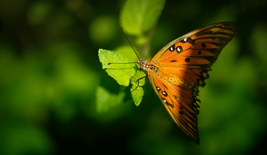 How to Find Your Inner Passion and Dynamic Relationship – Astrologer Daddy