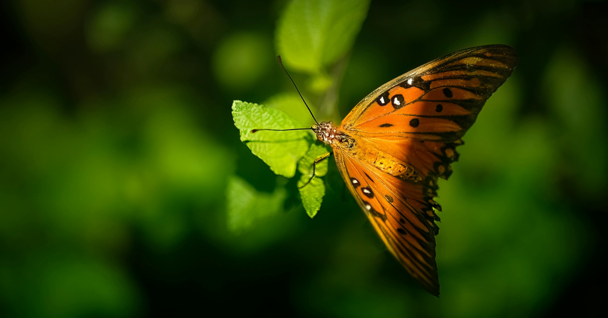 How to Find Your Inner Passion and Dynamic Relationship How to Find Your Inner Passion and Dynamic Relationship