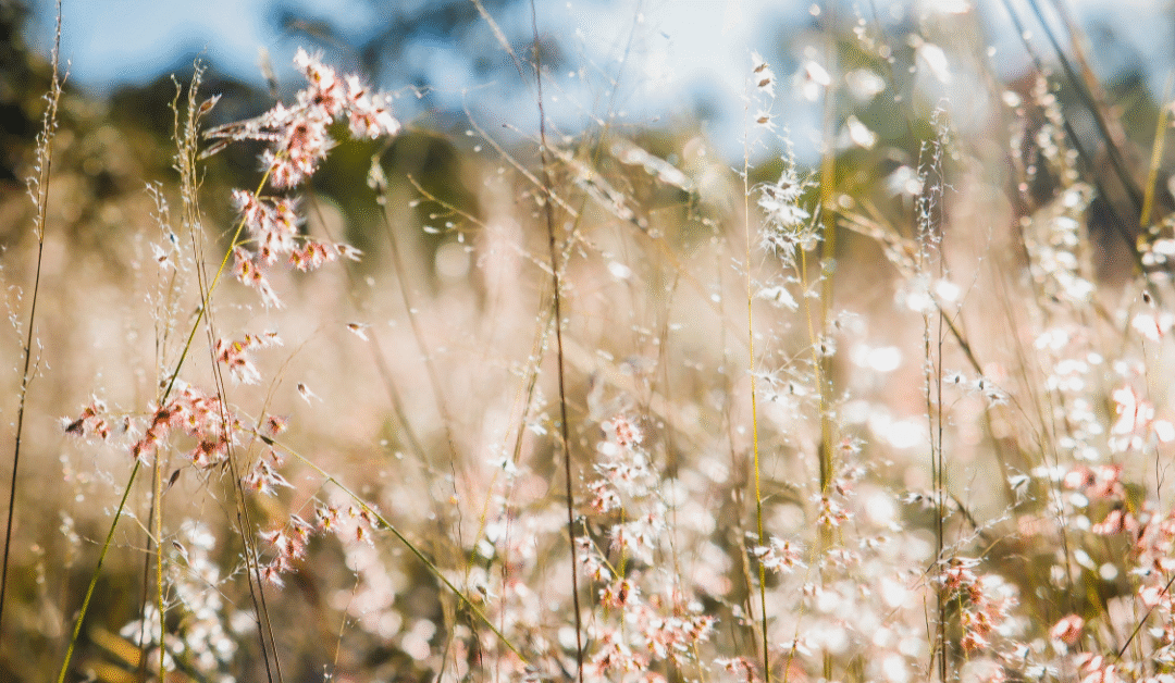 How to Get the Most Out of Your Zodiac Sign’s Vibes in the Shower – Astrologer Daddy